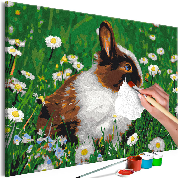 Paint by number Rabbit in the Meadow 134538 additionalImage 3