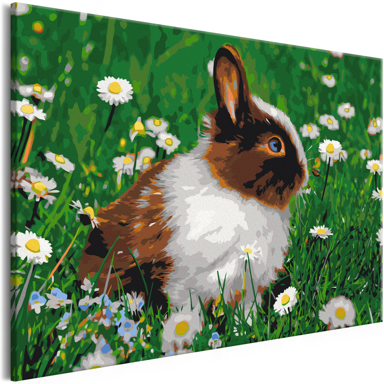Paint by number Rabbit in the Meadow 134538 additionalImage 5