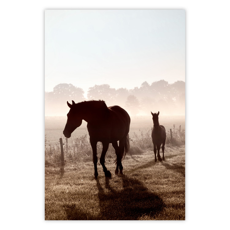 Poster Morning of Memories - landscape of running horses against a misty forest 138038