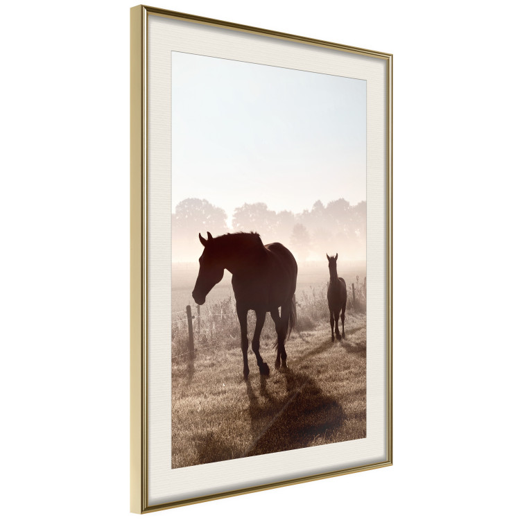Poster Morning of Memories - landscape of running horses against a misty forest 138038 additionalImage 19