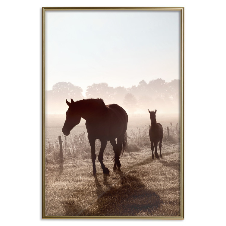 Poster Morning of Memories - landscape of running horses against a misty forest 138038 additionalImage 6