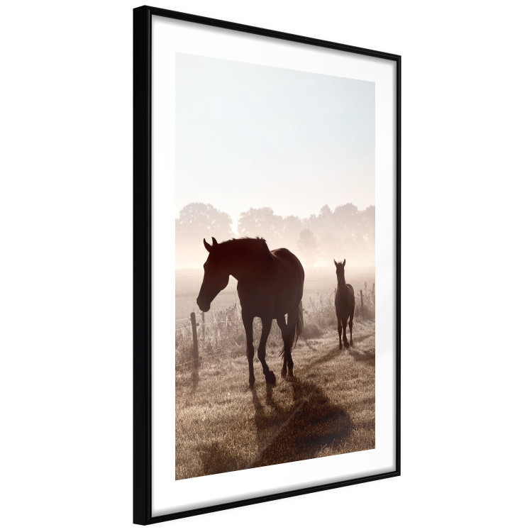 Poster Morning of Memories - landscape of running horses against a misty forest 138038 additionalImage 15
