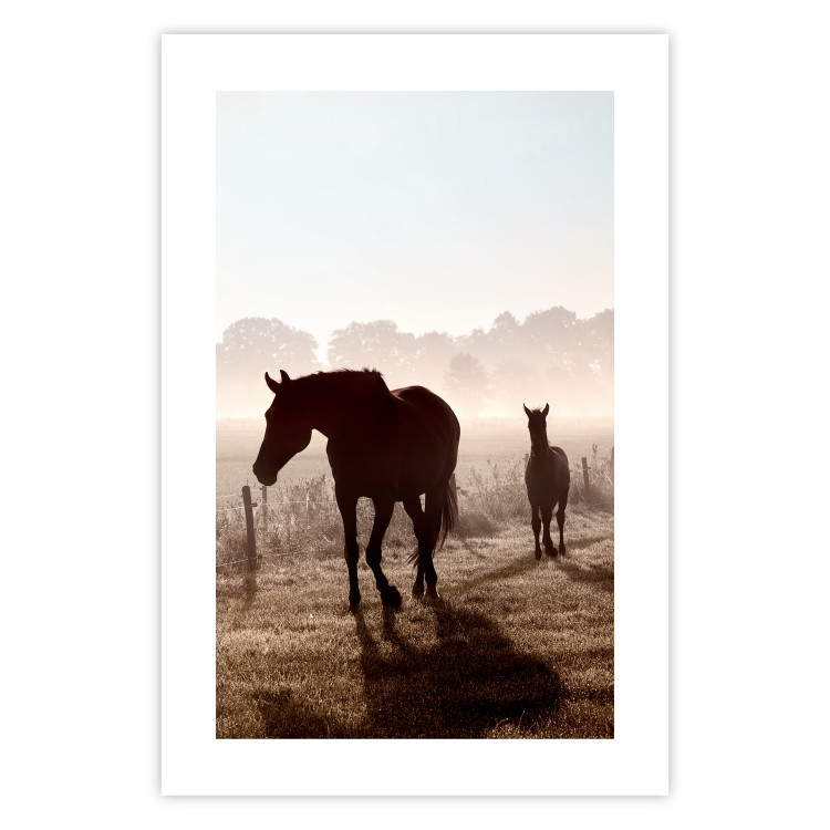 Poster Morning of Memories - landscape of running horses against a misty forest 138038 additionalImage 10