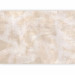 Wall Mural Brushstroke - abstract with traces of painting on a beige background 144038 additionalThumb 5
