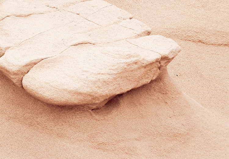 Wall Poster Rock Texture - Photo Showing a Fragment of a Sand Formation 145238 additionalImage 2