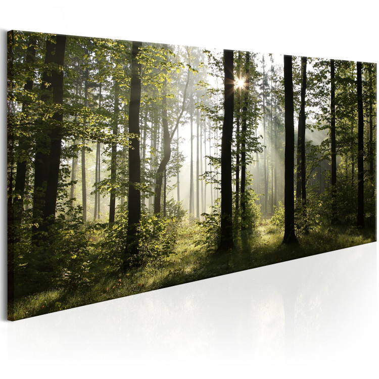 Large canvas print Beautiful Morning [Large Format] 150938 additionalImage 3