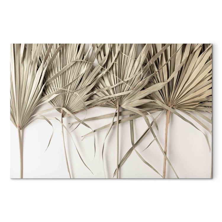 Canvas Boho palm - composition with dried palm leaves on a light background 151238 additionalImage 7