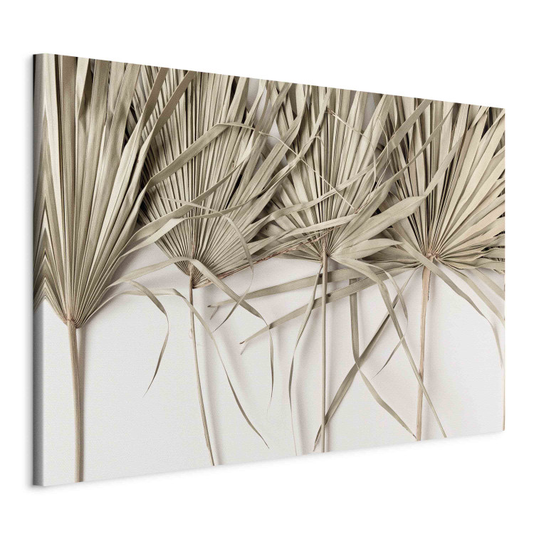 Canvas Boho palm - composition with dried palm leaves on a light background 151238 additionalImage 2