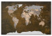Decorative Pinboard Cinnamon Travels [Cork Map] 93938 additionalThumb 2