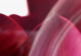Canvas Art Print Nature: Pink Tulips 98038 additionalThumb 4