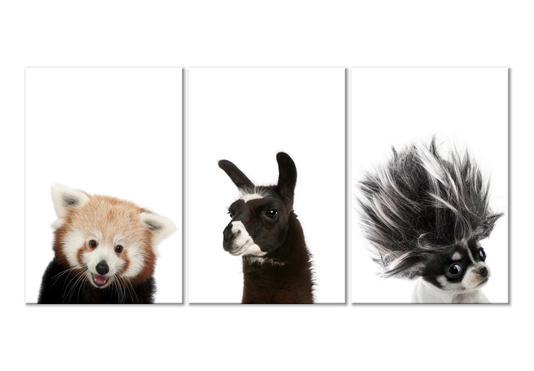 Canvas Friendly Animals (Collection) 116848