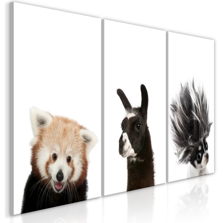 Canvas Friendly Animals (Collection) 116848 additionalImage 2