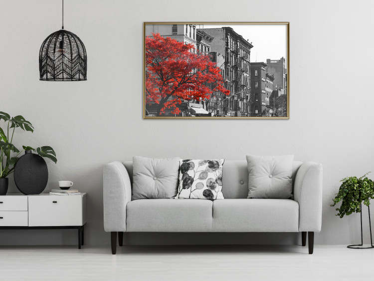 Poster Autumn in New York - black and white urban landscape with a red tree 117148 additionalImage 7