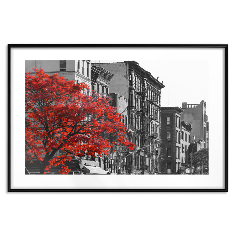 Poster Autumn in New York - black and white urban landscape with a red tree 117148 additionalImage 15