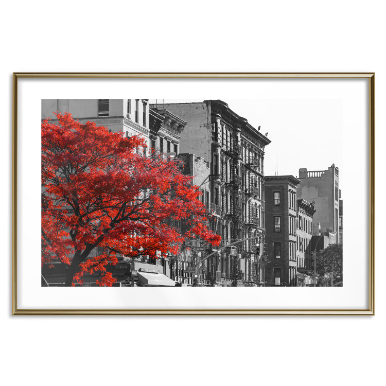 Poster Autumn in New York - black and white urban landscape with a red tree 117148 additionalImage 16
