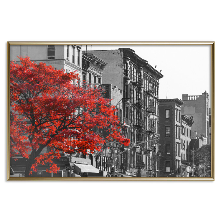 Poster Autumn in New York - black and white urban landscape with a red tree 117148 additionalImage 16