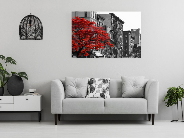 Poster Autumn in New York - black and white urban landscape with a red tree 117148 additionalImage 17