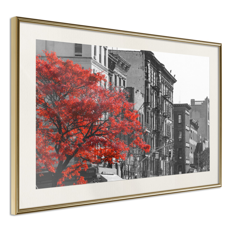 Poster Autumn in New York - black and white urban landscape with a red tree 117148 additionalImage 2