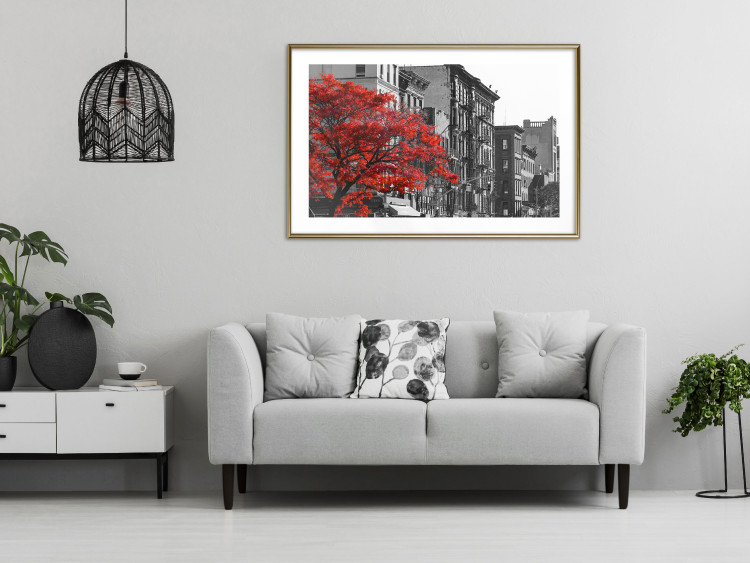 Poster Autumn in New York - black and white urban landscape with a red tree 117148 additionalImage 15