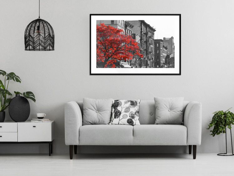 Poster Autumn in New York - black and white urban landscape with a red tree 117148 additionalImage 6