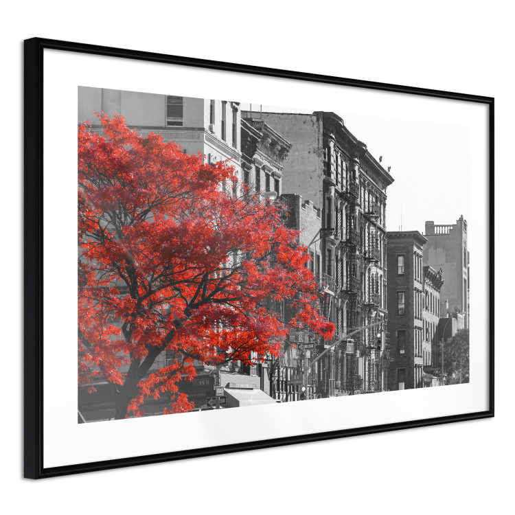 Poster Autumn in New York - black and white urban landscape with a red tree 117148 additionalImage 11