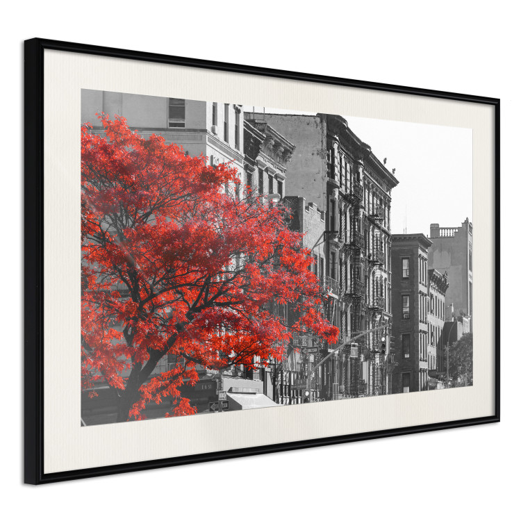 Poster Autumn in New York - black and white urban landscape with a red tree 117148 additionalImage 3