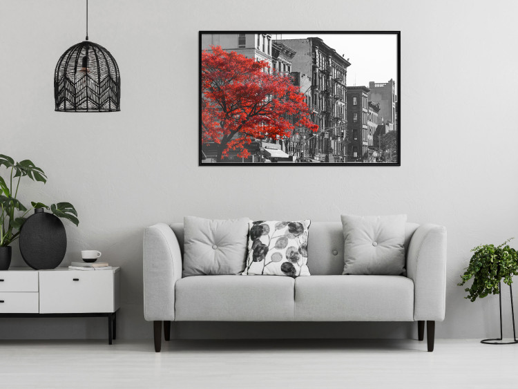 Poster Autumn in New York - black and white urban landscape with a red tree 117148 additionalImage 3