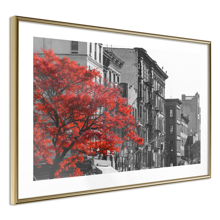 Poster Autumn in New York - black and white urban landscape with a red tree 117148 additionalImage 8