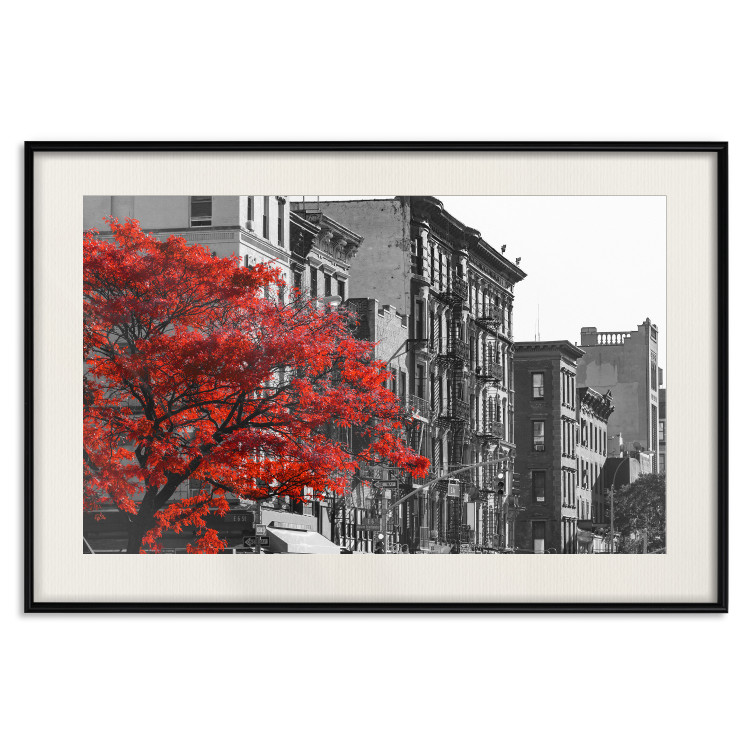 Poster Autumn in New York - black and white urban landscape with a red tree 117148 additionalImage 18