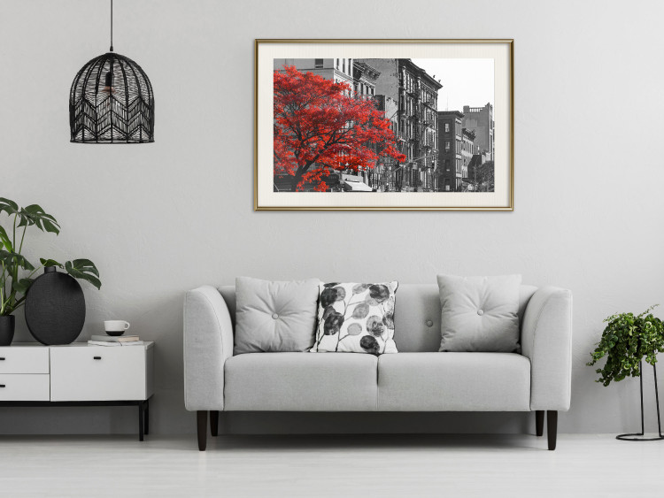 Poster Autumn in New York - black and white urban landscape with a red tree 117148 additionalImage 21