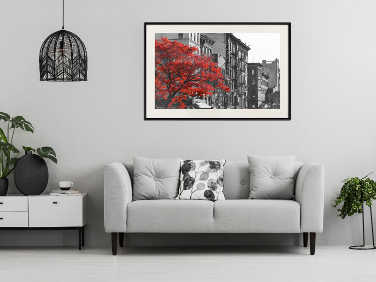 Poster Autumn in New York - black and white urban landscape with a red tree 117148 additionalImage 22