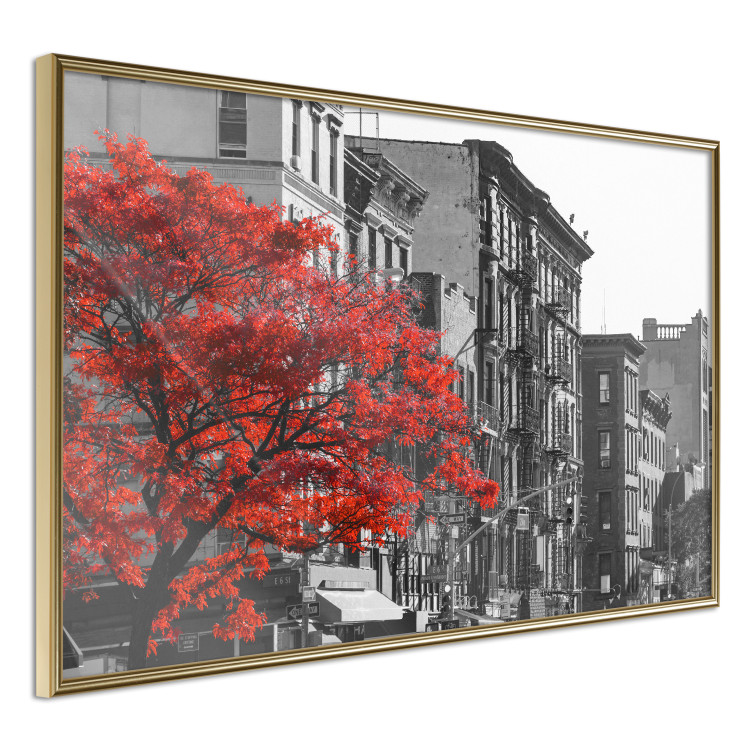 Poster Autumn in New York - black and white urban landscape with a red tree 117148 additionalImage 14
