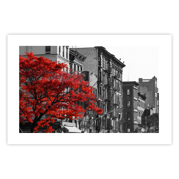 Poster Autumn in New York - black and white urban landscape with a red tree 117148 additionalImage 19