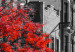 Poster Autumn in New York - black and white urban landscape with a red tree 117148 additionalThumb 11