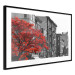Poster Autumn in New York - black and white urban landscape with a red tree 117148 additionalThumb 13