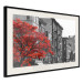 Poster Autumn in New York - black and white urban landscape with a red tree 117148 additionalThumb 3