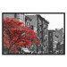 Poster Autumn in New York - black and white urban landscape with a red tree 117148 additionalThumb 24