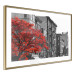 Poster Autumn in New York - black and white urban landscape with a red tree 117148 additionalThumb 8
