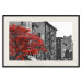 Poster Autumn in New York - black and white urban landscape with a red tree 117148 additionalThumb 18