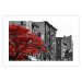 Poster Autumn in New York - black and white urban landscape with a red tree 117148 additionalThumb 25