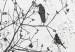 Wall Poster Birds on a Tree - black and white landscape among branches on a rough background 117248 additionalThumb 11