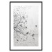 Wall Poster Birds on a Tree - black and white landscape among branches on a rough background 117248 additionalThumb 19