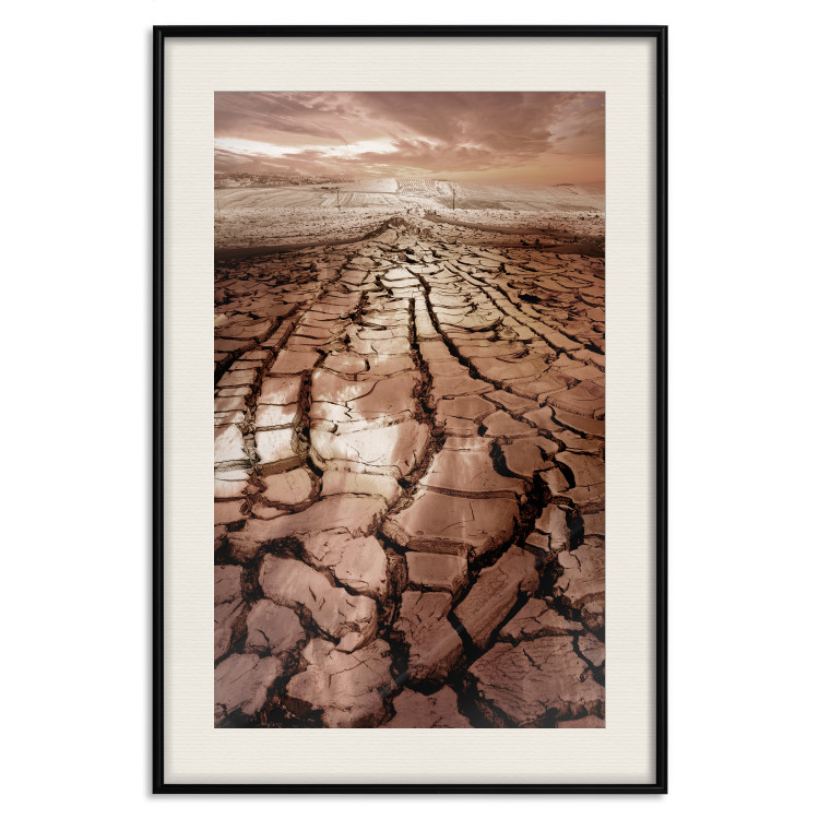 Wall Poster Drought - desert landscape against a cloudy sky background in brown 119148 additionalImage 18