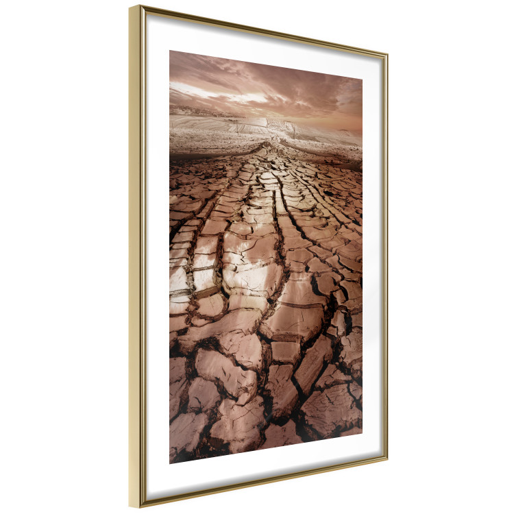Wall Poster Drought - desert landscape against a cloudy sky background in brown 119148 additionalImage 8