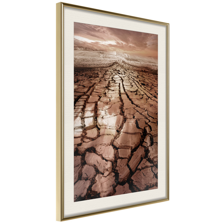 Wall Poster Drought - desert landscape against a cloudy sky background in brown 119148 additionalImage 2