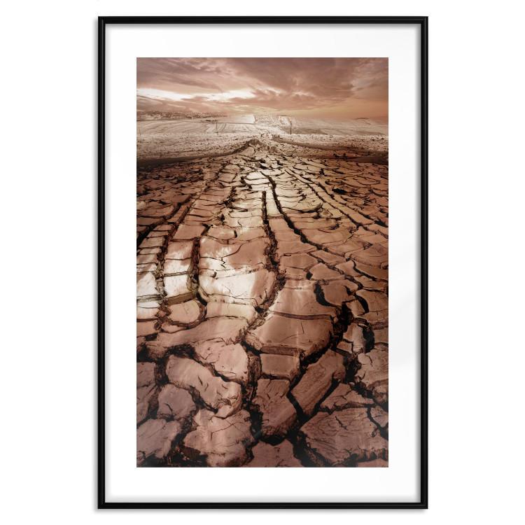 Wall Poster Drought - desert landscape against a cloudy sky background in brown 119148 additionalImage 17