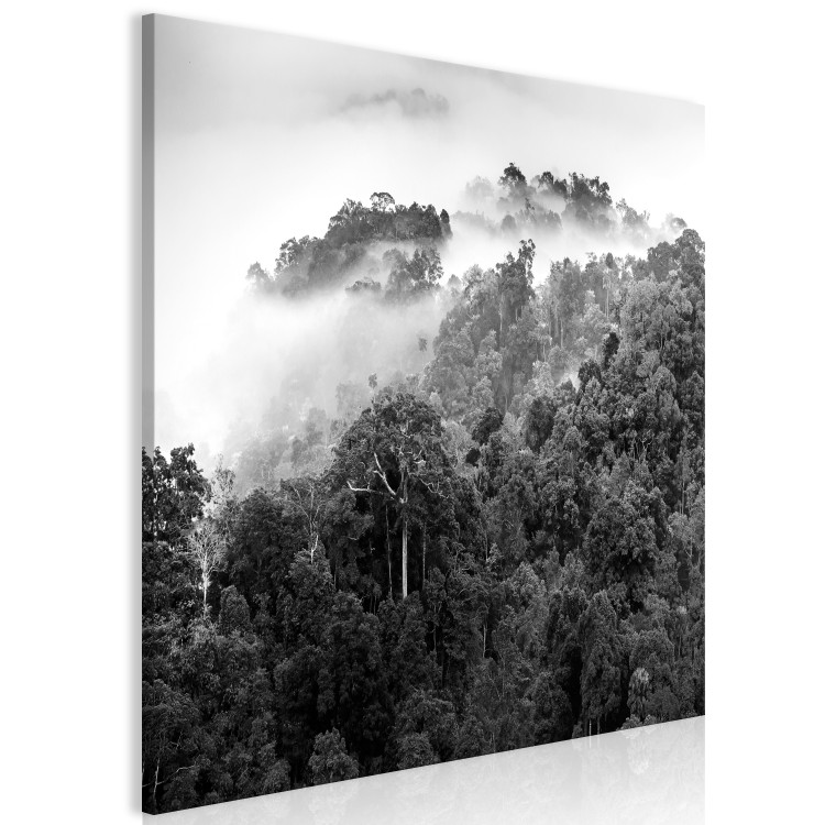 Canvas Print Rainforest (1 Part) Square 120448 additionalImage 2