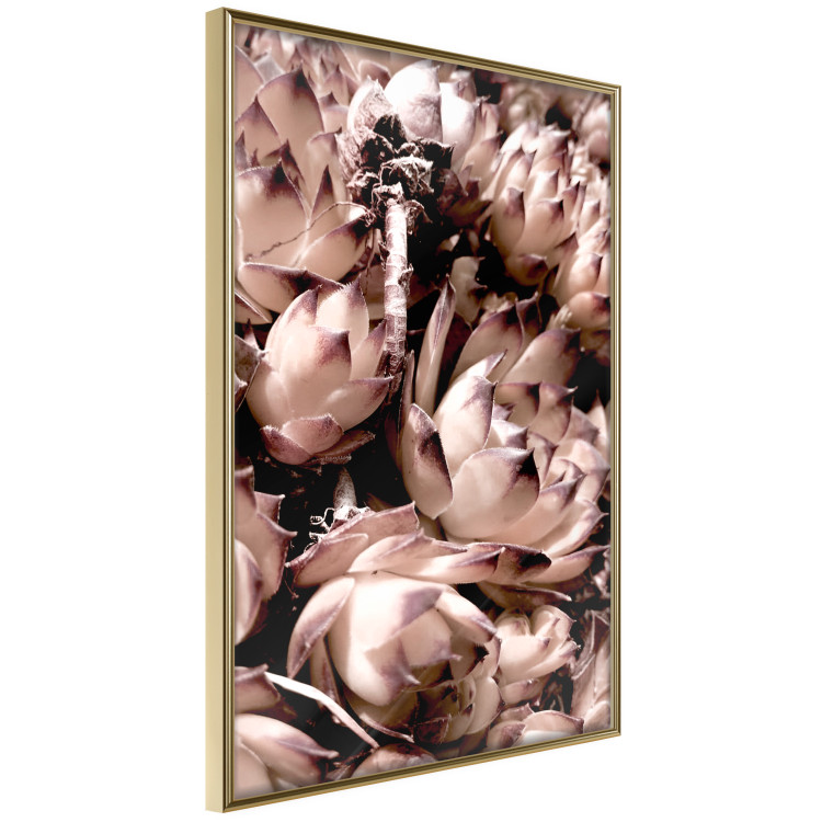 Wall Poster Orpheus - natural plants with white flowers and purple details 122648 additionalImage 12
