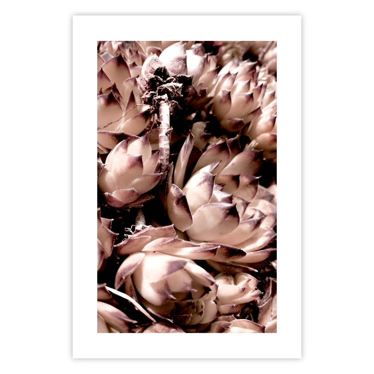 Wall Poster Orpheus - natural plants with white flowers and purple details 122648 additionalImage 25