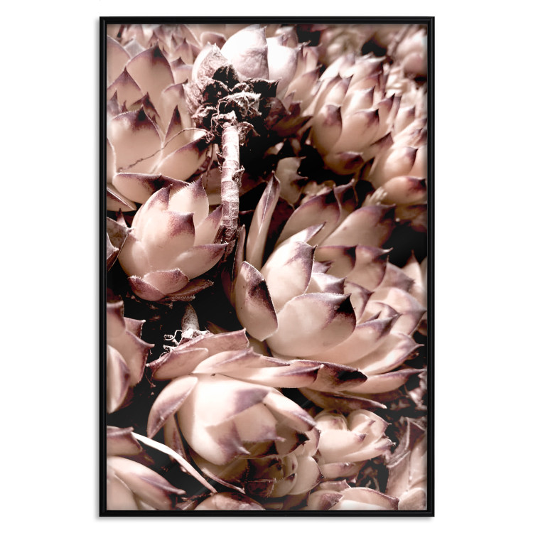 Wall Poster Orpheus - natural plants with white flowers and purple details 122648 additionalImage 18